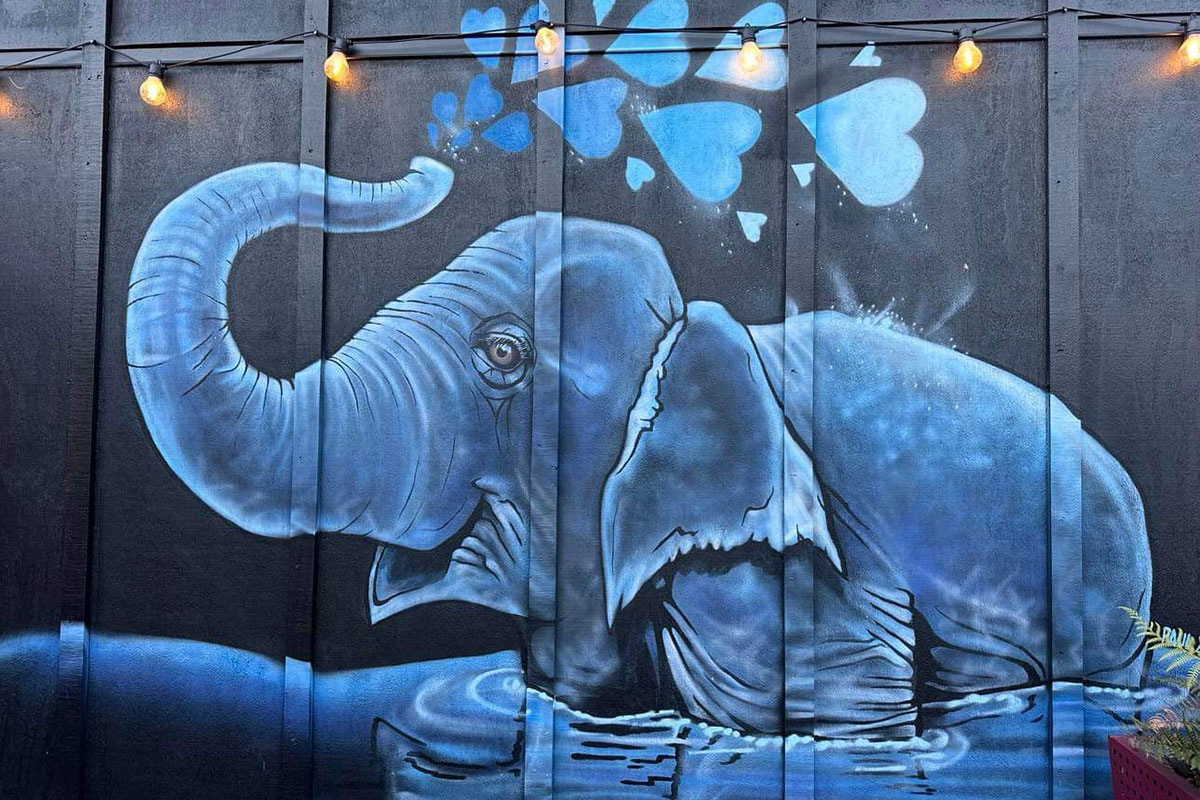 blue-elephant-restaurant-in-clevedon-gallery-5